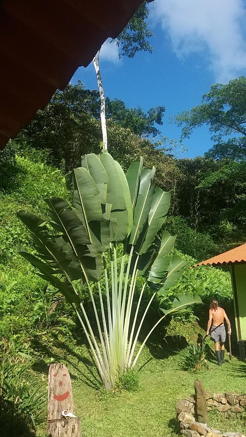 Casita Rio Indio Villa Nombre de Dios Kültér fotó