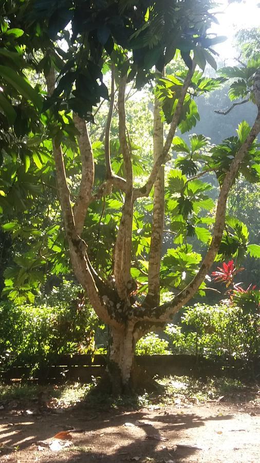 Casita Rio Indio Villa Nombre de Dios Kültér fotó