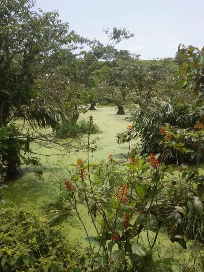 Casita Rio Indio Villa Nombre de Dios Kültér fotó